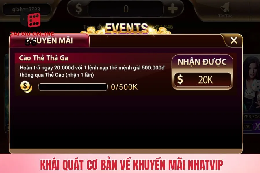 Khái quát cơ bản về khuyến mãi Nhatvip